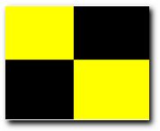 L  You should stop your vessel instantly